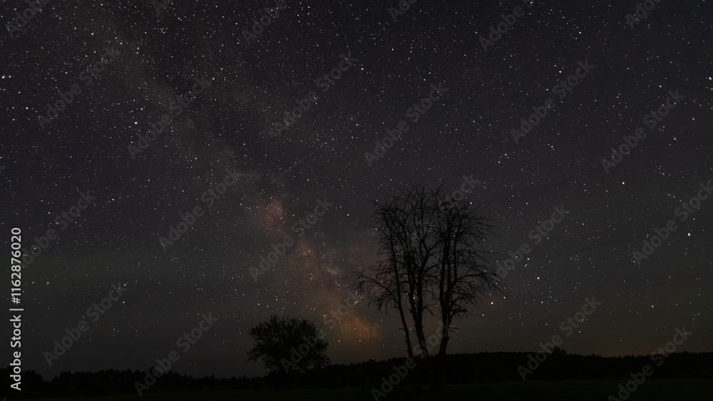 Naklejka premium starry night sky