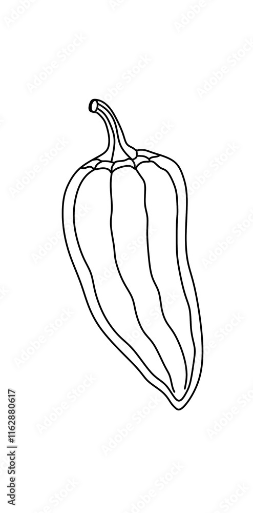 hand drawn vector illustration of pepper hand drawn vector illustration of pepper