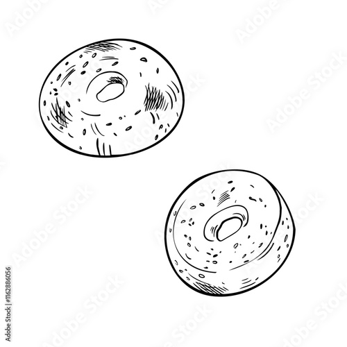 Two whole bagel with sesame black white vector illustration on white. Doughnut bread hand drawn by ink graphic. Outline bread ring monochrome sketch for design signage, paper, packaging bakery