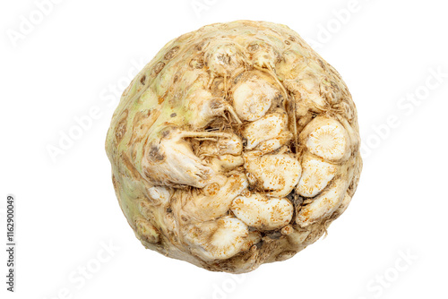 Obraz na płótnie Isolated celery root w salonie