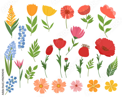 Botanical Illustration. Set of spring flowers. Vector illustration for posters, invitations, cards and banners