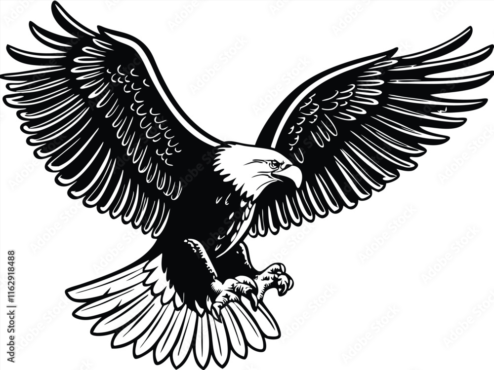 Obraz premium Majestic Bald Eagle Soaring, Wings Spread Wide, Powerful Bird