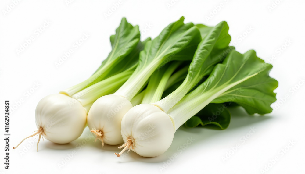Fresh White Vegetables and Green Leaves - A Healthy Food Delight Fresh White Vegetables and Green Leaves - A Healthy Food Delight