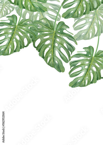 Tropical realistic green monstera leaves watercolor illustration. Houseplant creeper plant vertical composition with empty space for text. For package decor, label. Swiss cheese liana