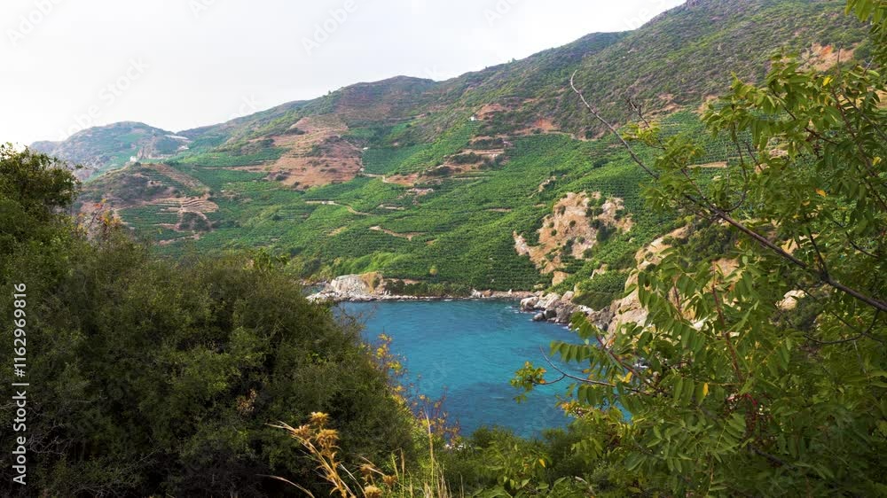 Still shot behind green trees of a ocean water splashing into a mountain shore Still shot behind green trees of a ocean water splashing into a mountain shore