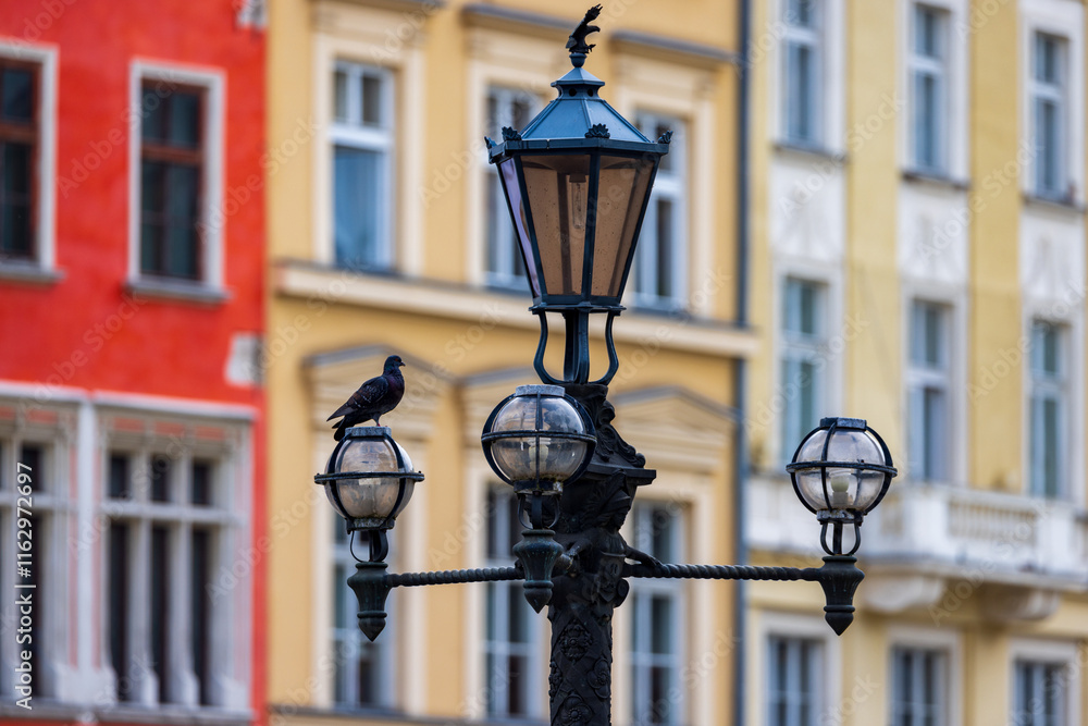 Pigeon on a Historic Streetlamp in Kraków Pigeon on a Historic Streetlamp in Kraków