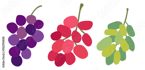 Set Grape Icons Food Fruits, bunches of grapes icons editable stroke, flat design style isolated on white. Flat vector red, green, blue grapes branch logo. 