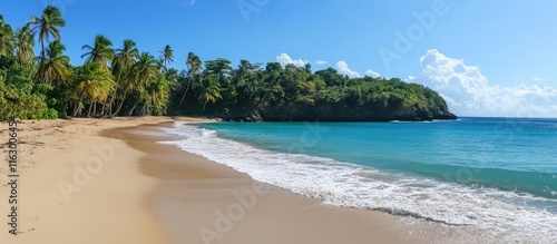 Fototapeta Naklejka Na Ścianę i Meble -  Caribbean beach paradise featuring golden sands turquoise waters and lush palm trees ideal for tropical vacation themed designs