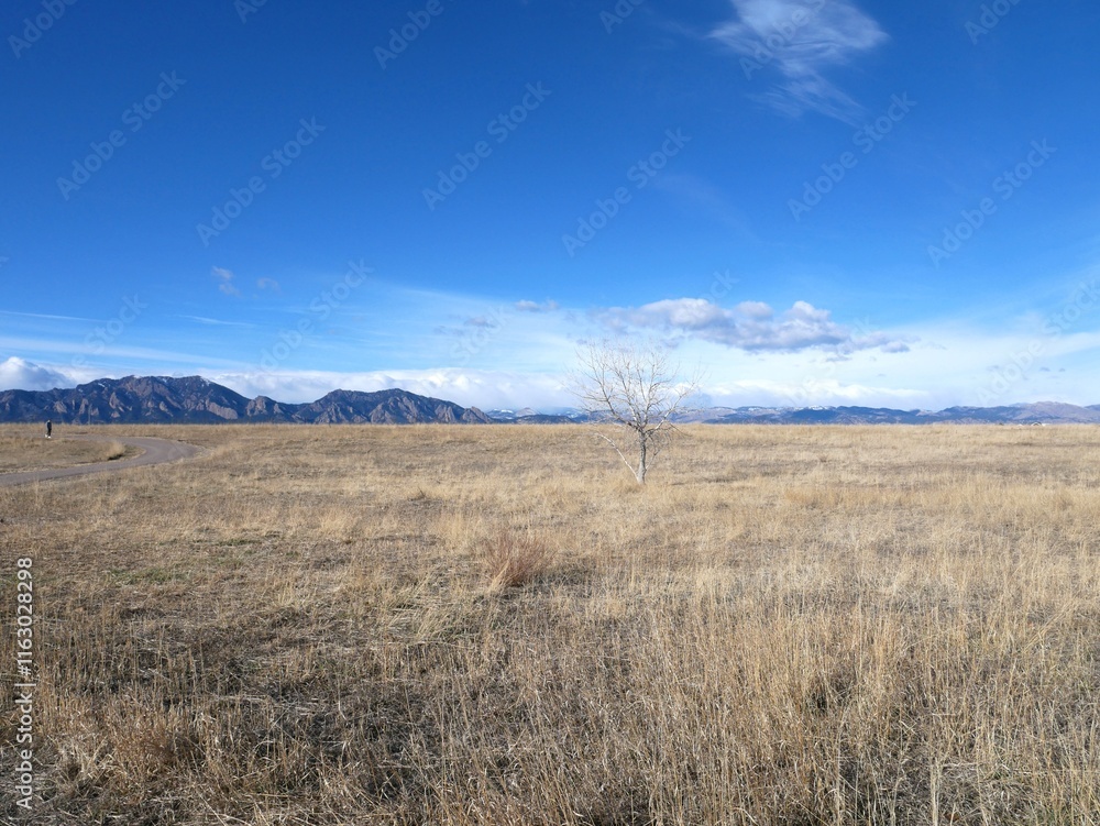 Winter trails with views of the Rocky Mountains, Colorado Winter trails with views of the Rocky Mountains, Colorado