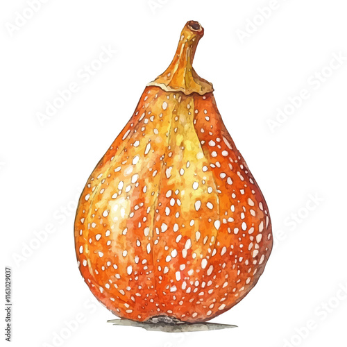 A watercolor painting of a baobab fruit, isolated on a white background. Baobab fruit vector.
