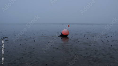 There two buoys on the open seebed photo