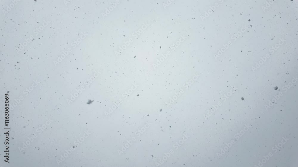 Low-angle scene of falling snow from a gray sky Low-angle scene of falling snow from a gray sky