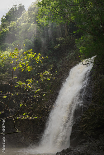 waterfall in the forest