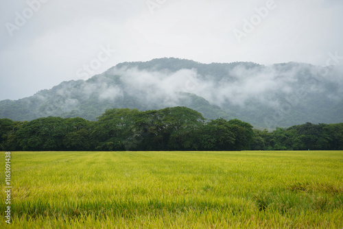 green field and clouds