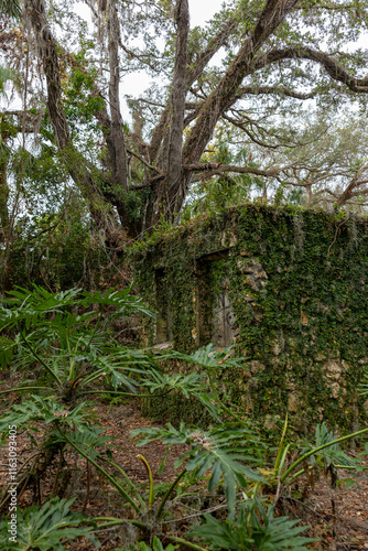 Abandon building  in the forest photo