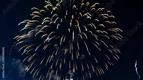 Fireworks Exploding in Night Sky, Festive and Celebratory Visual for New Year's and Special Occasions, Vibrant Colors and Energetic Display.