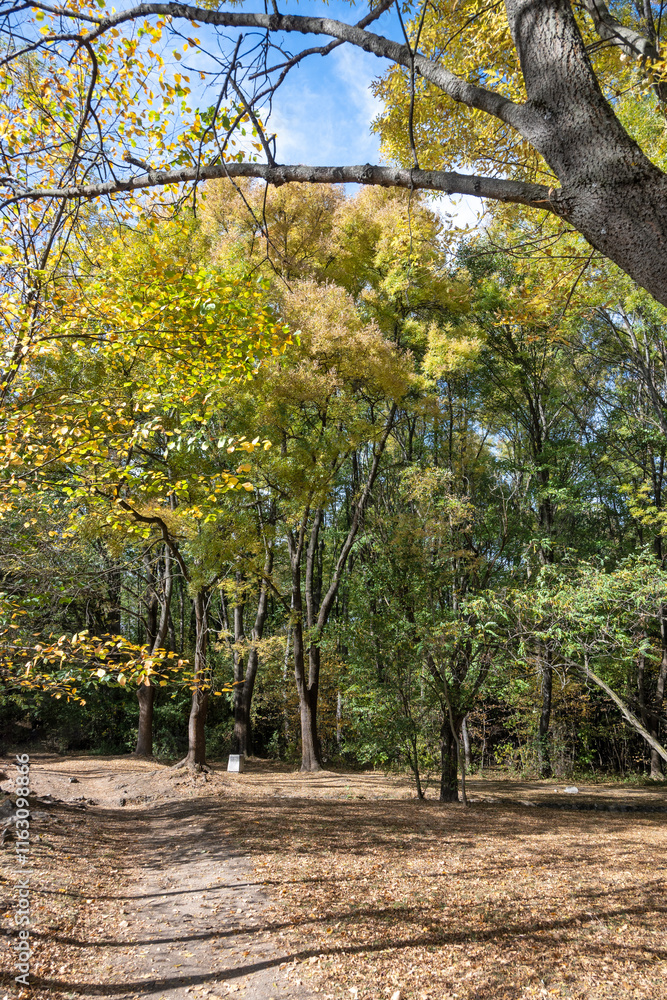 Fototapeta premium Landscape of South Park in city of Sofia, Bulgaria
