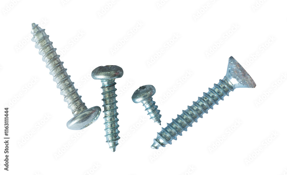 Collection of bolt element Collection of bolt element