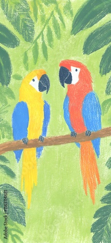 Vibrant Tropical Parrot Pair photo