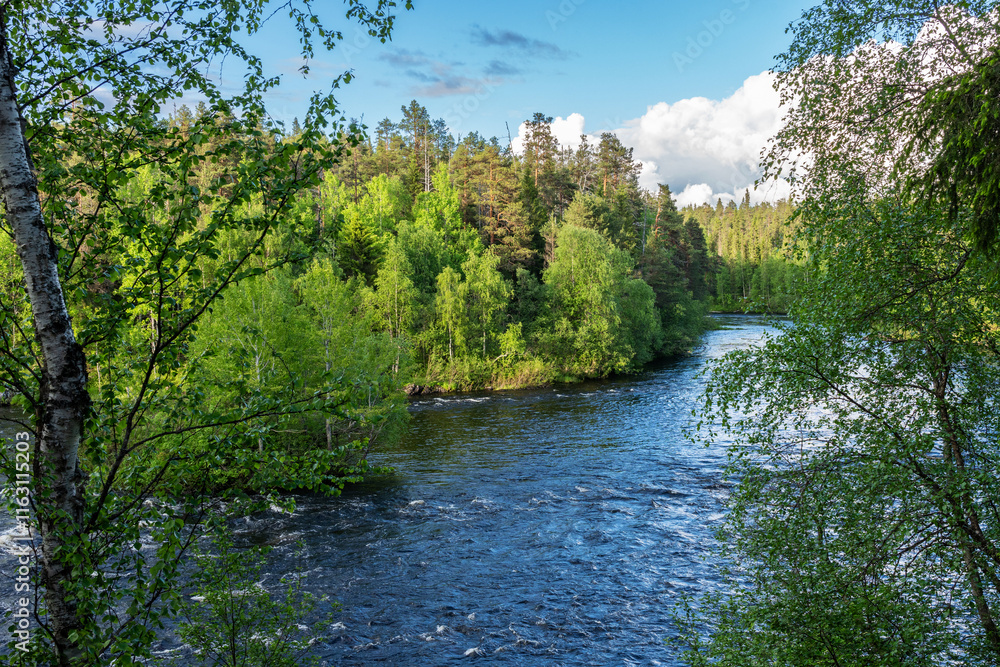 A summer evening by Oulanka river with a small island in the middle of lush forests in Oulanka National Park, Northern Finland A summer evening by Oulanka river with a small island in the middle of lush forests in Oulanka National Park, Northern Finland