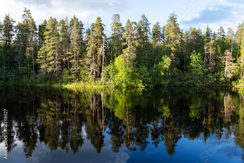 A summer evening by Oulanka river in the middle of lush forests in Oulanka National Park, Northern Finland