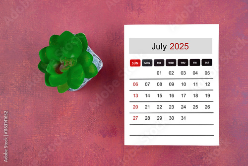 Calendar page for July 2025 and houseplant on retro background. photo