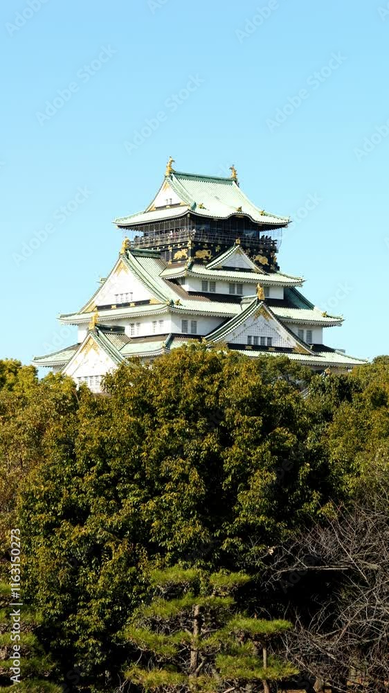 Osaka Castle under the blue sky in Japan, Travel or Japanese tradition, Vertical video for smartphone footage Osaka Castle under the blue sky in Japan, Travel or Japanese tradition, Vertical video for smartphone footage