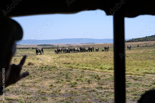 Photography Safari guest on a game drive pointing to a herd of elephants walking across the