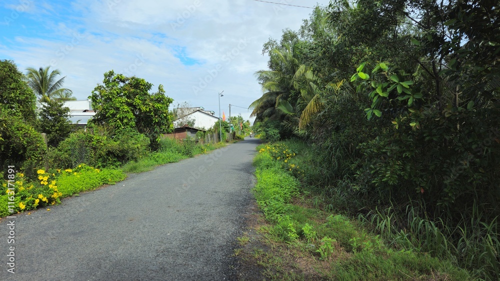 A narrow village path in countryside of Mang Thit district, Vinh Long province, Mekong Delta Vietnam in the morning. A narrow village path in countryside of Mang Thit district, Vinh Long province, Mekong Delta Vietnam in the morning.