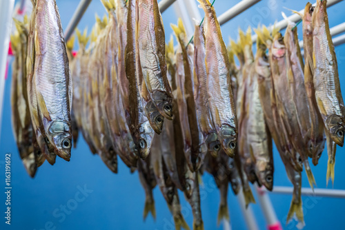 Dried salted fish hanging on rack 