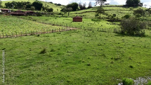 Minas Gerais
