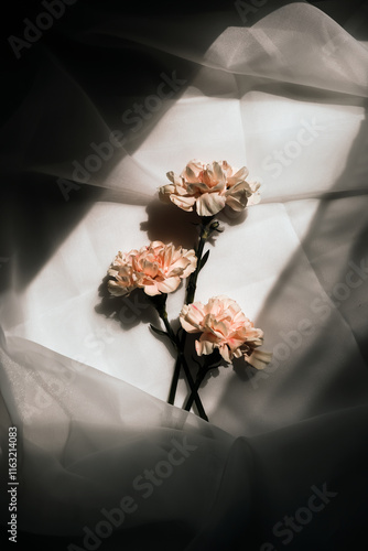 pink carnation flower on the table