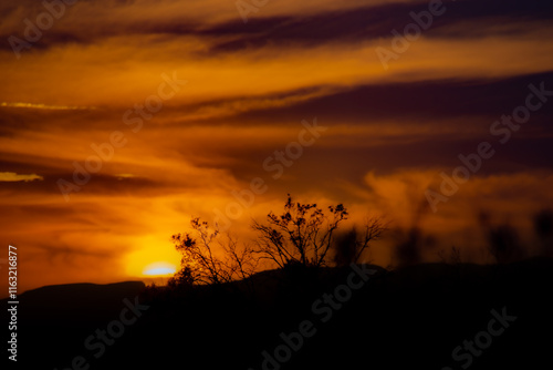 Sunset in the Wadi Draa valley near Zagora in Morocco photo