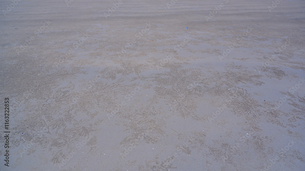A smooth, textured surface of tropical beach sand with fine patterns formed by the ebb and flow of the tides A smooth, textured surface of tropical beach sand with fine patterns formed by the ebb and flow of the tides