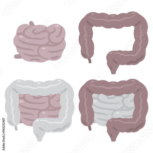 不健康な大腸と小腸のイラストセット
