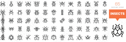 Set of minimalist linear insects icons. Vector illustration
