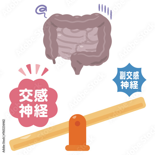 交感神経が優位になって働きが鈍くなる腸のイラスト
