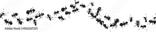 A herd of silhouettes of ants walking in orderly formation, emphasizing unity and discipline. Ideal for creative projects, science visuals, and nature-inspired designs.