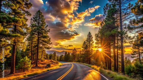 American Pine Tree Forest Road Trip - Scenic Silhouette Photography in National Park, Nature's Beauty, Adventure, Travel, Landscape, Outdoors, Forests, Trees, Sunrise, Sunset