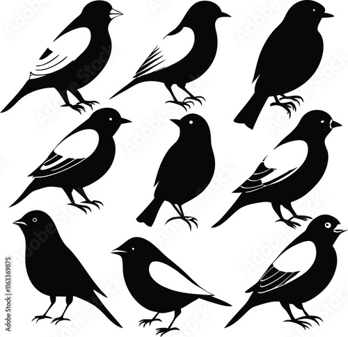 Wallpaper Mural indigo bunting black color bird silhouette  Torontodigital.ca