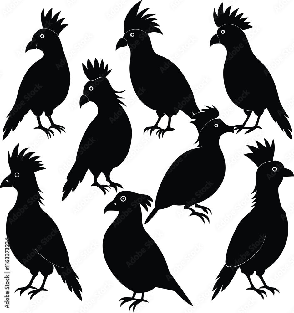 Fototapeta premium turaco Africa black color is silhouette vector 