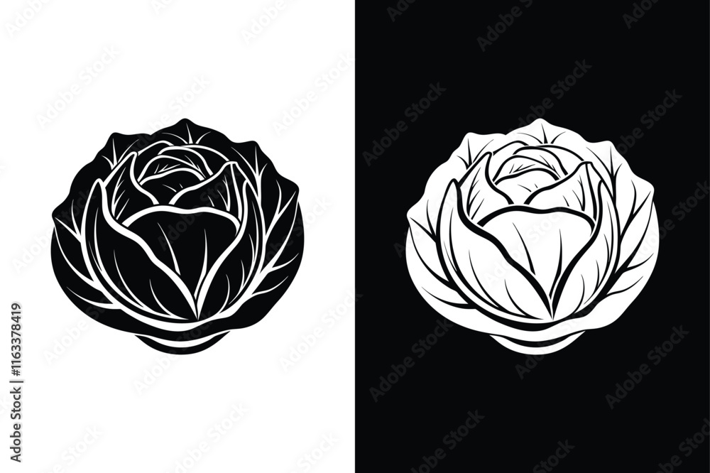 Thin Line Cabbage Illustration. Fresh and Modern Vegetable Art Thin Line Cabbage Illustration. Fresh and Modern Vegetable Art