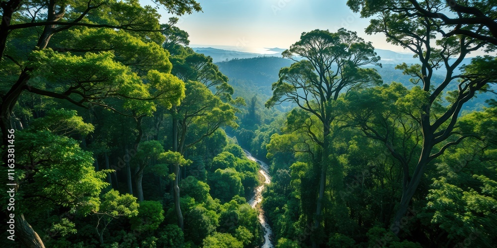 Serene Valley Vista Lush Green Canopy, Winding River, and Distant Hazy Hills Serene Valley Vista Lush Green Canopy, Winding River, and Distant Hazy Hills