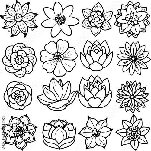set consistent line art flowers petal pat silhouette vector
