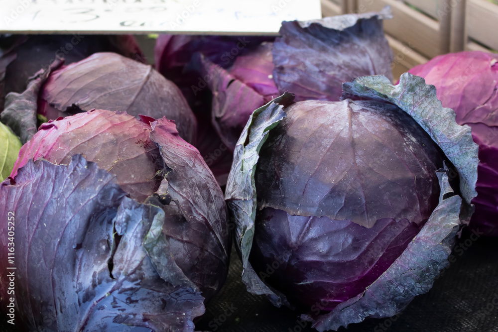 Obraz premium A view of several heads of purple cabbage.