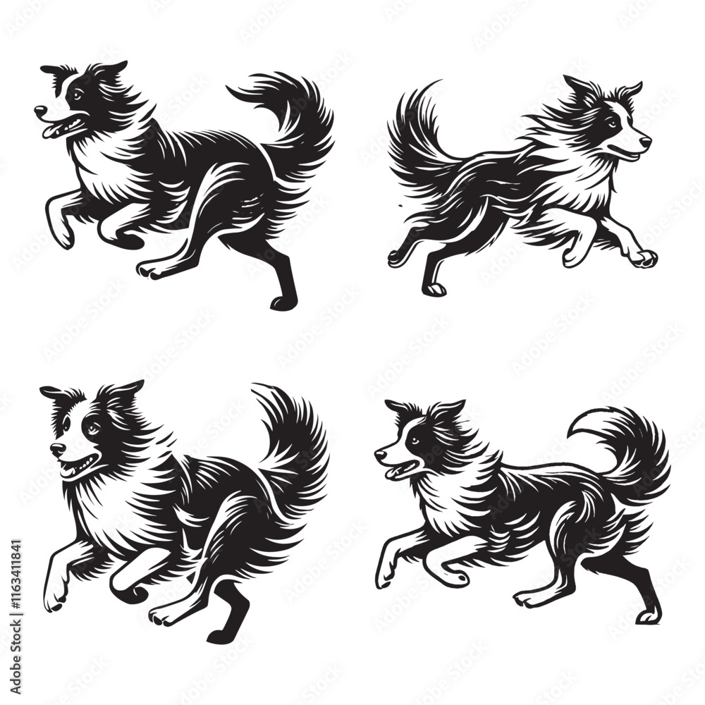 Obraz premium Dynamic Silhouettes of Running Border Collie Capturing Agility and Elegance in Black and White
