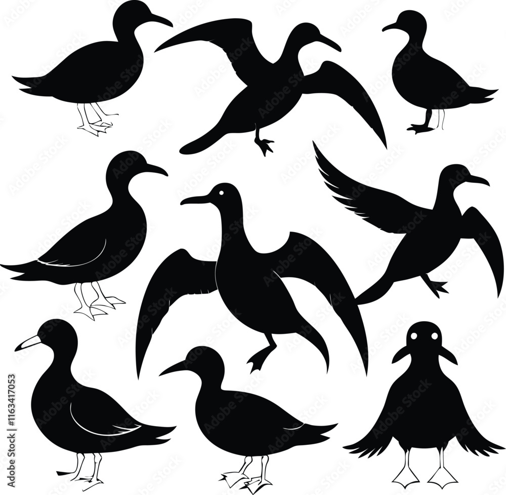Obraz premium set consistent albatross black color silhouette vector