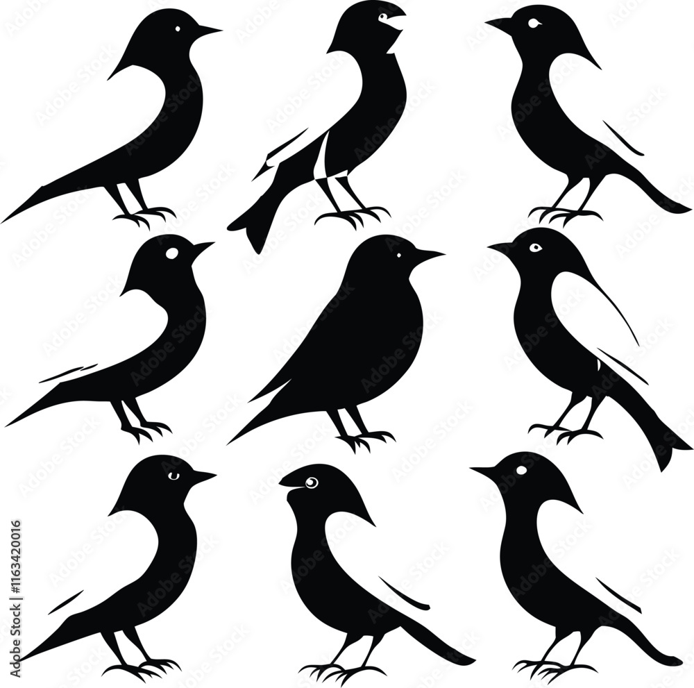 Fototapeta premium set consistent cerulean warbler black colors silhouette vector 