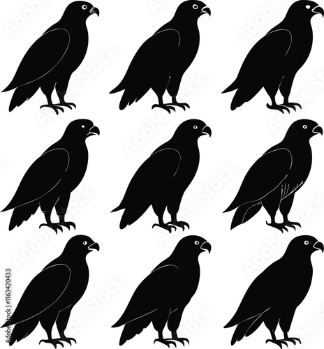  set  consistent common cooper s hawk black color silhouette vector 