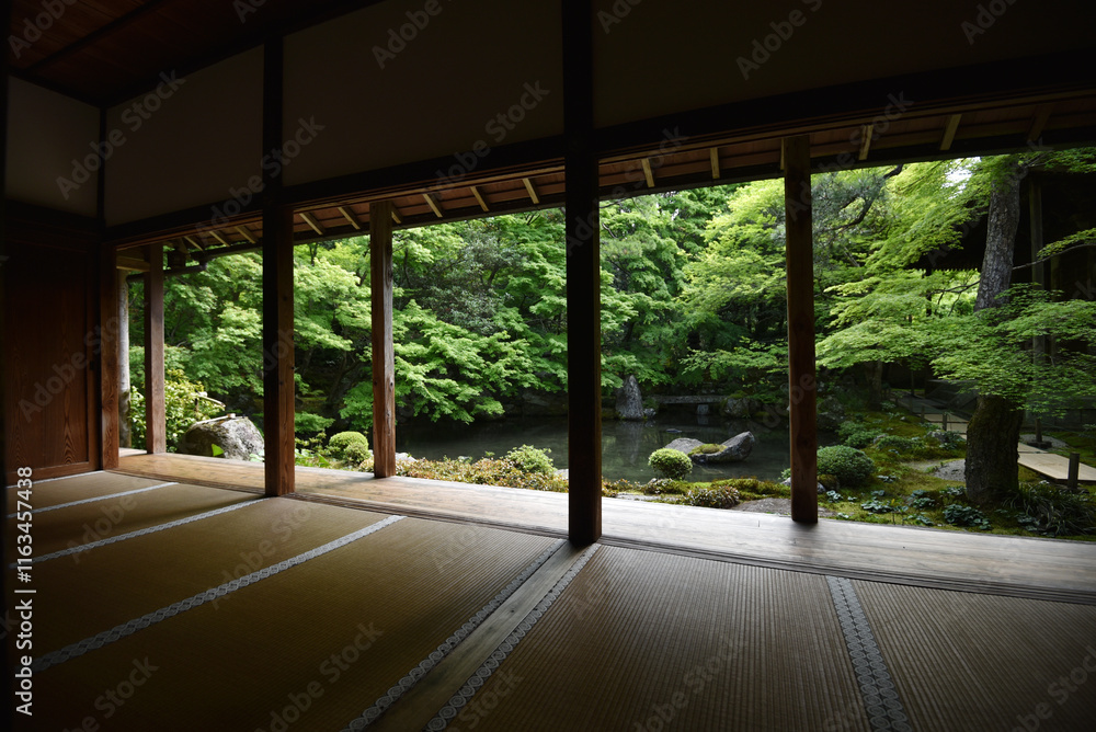 蓮華寺 書院から新緑の庭園を望む 京都市左京区 蓮華寺 書院から新緑の庭園を望む 京都市左京区